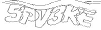 Check code